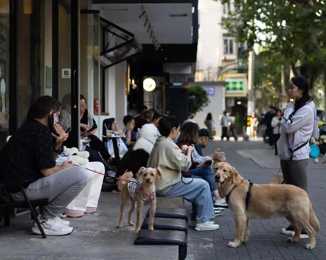 弃了双11爱上了“老年严选”AG旗舰厅网这届脆皮年轻人抛(图3)